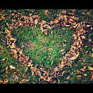 Meet your Posher, Celeste